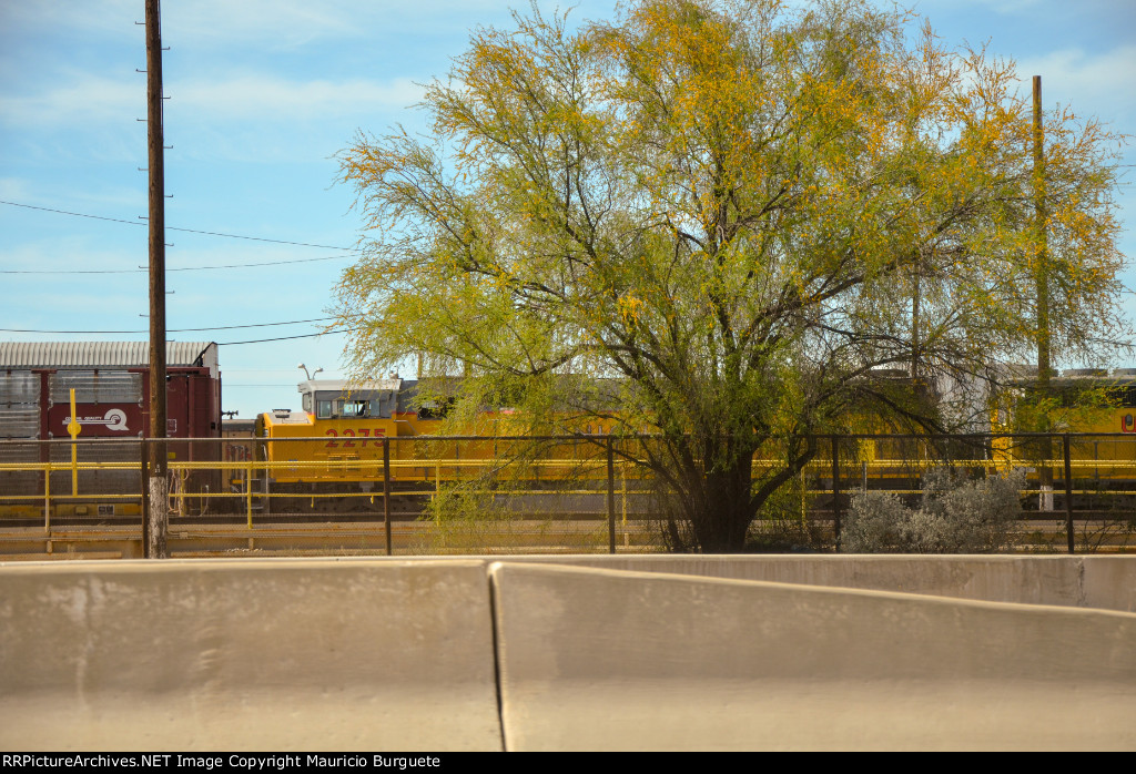 Union Pacific SD60M in the yard